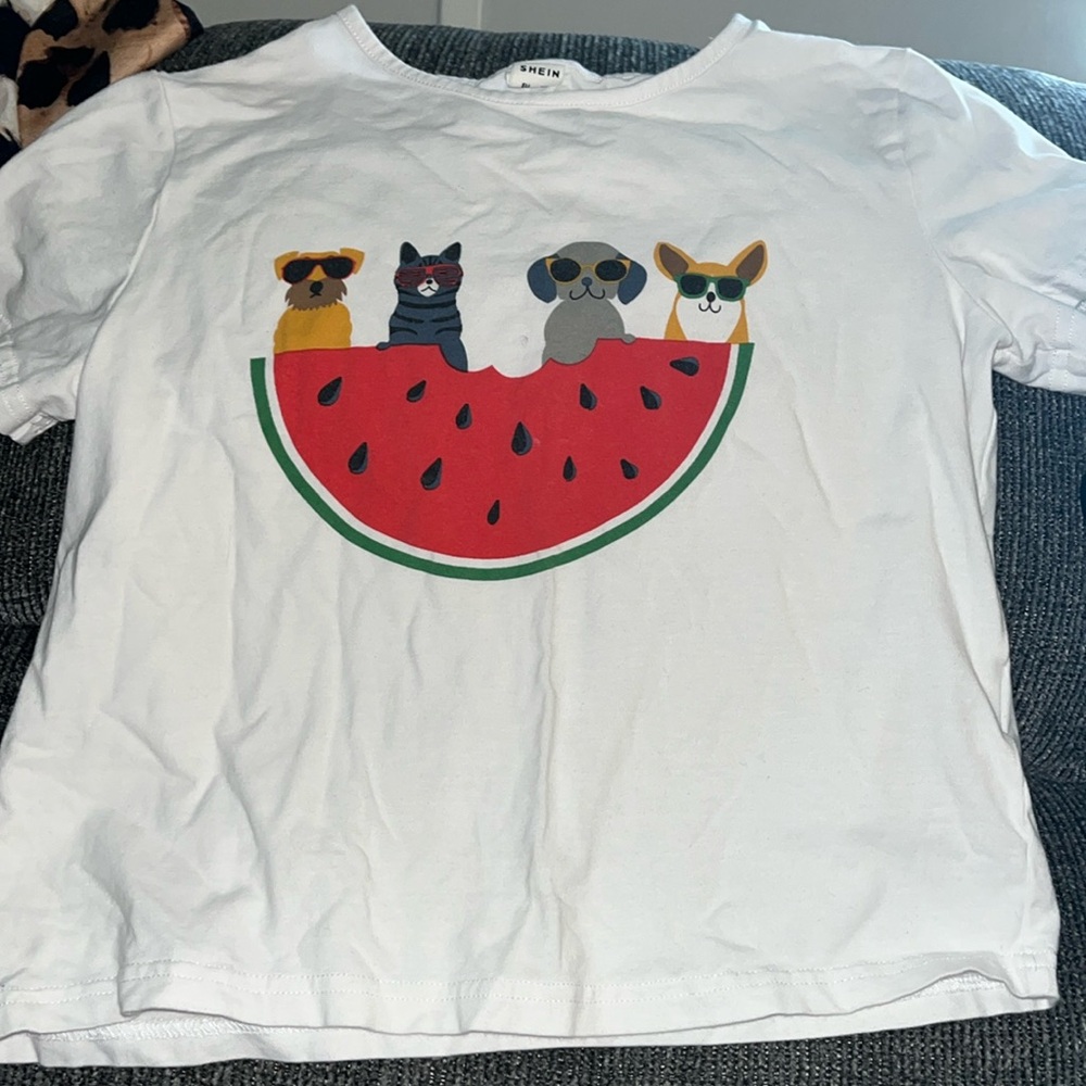 cats and dogs sitting on a watermelon
